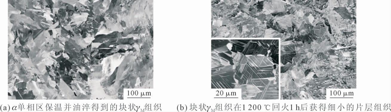 pagenumber_ebook=17,pagenumber_book=486