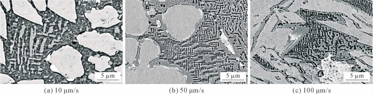 pagenumber_ebook=59,pagenumber_book=528