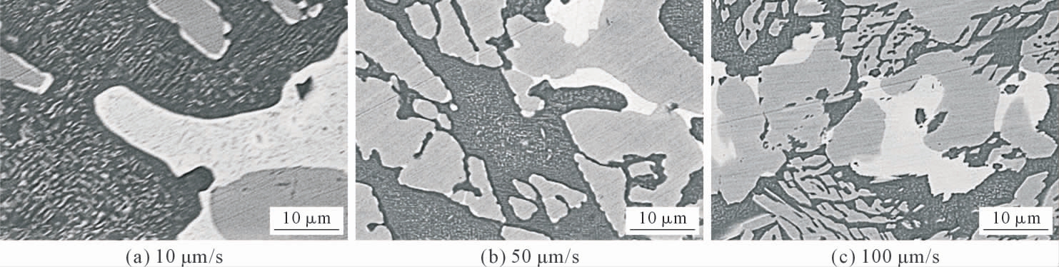 pagenumber_ebook=59,pagenumber_book=528
