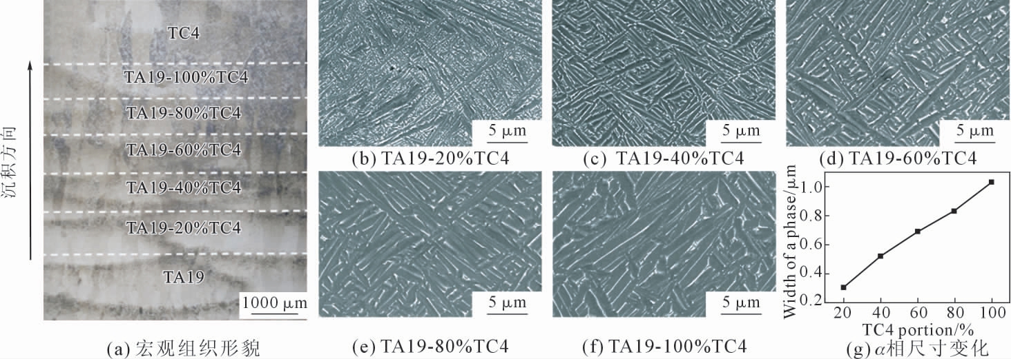 pagenumber_ebook=34,pagenumber_book=503
