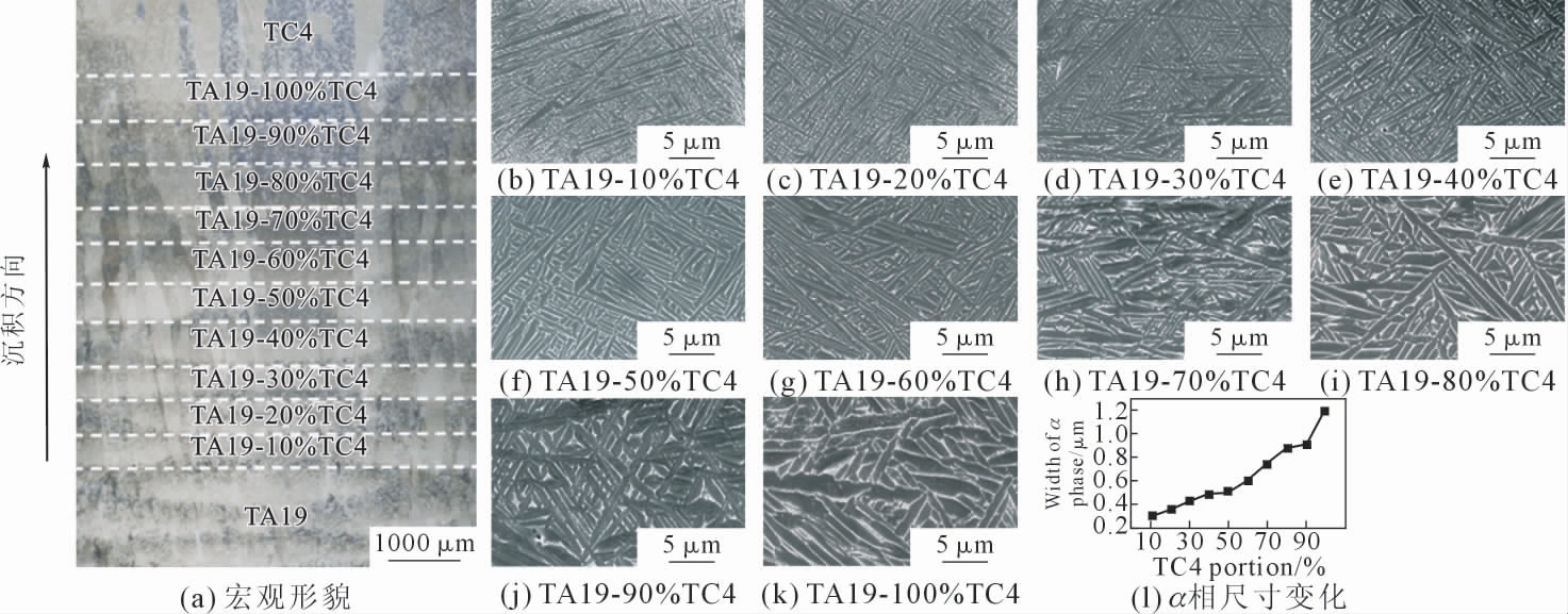 pagenumber_ebook=34,pagenumber_book=503